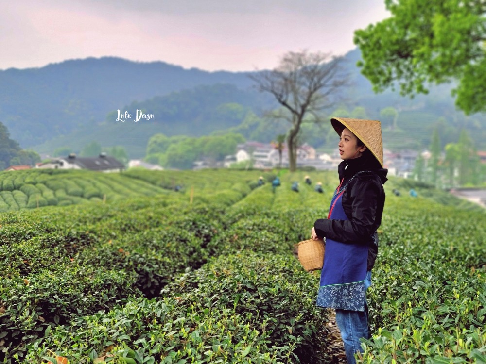 體驗真實杭州一定要做的六件事：採龍井茶、城市燈光秀、杭邦菜、西湖喝茶
