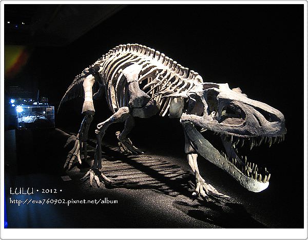 【lulu來試試】地球最古老的恐龍展 @LULUDASU 繽紛真實